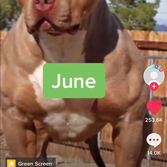 Meet your Posher, Erik - Picture 1 of 1